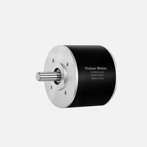 motor brushless