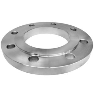 brida de acero inoxidable