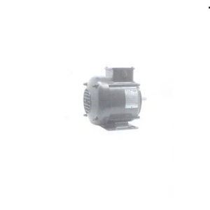 motor trifásico