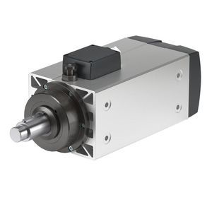 electro-husillo de corte 1