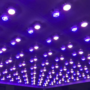 LED multicolor