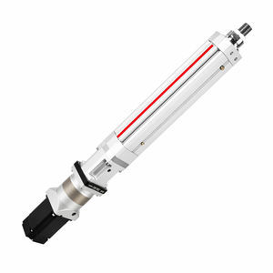 servo-cilindro eléctrico 1