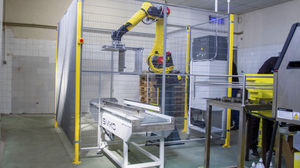 paletizador robotizado 1