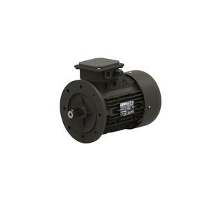 motor AC 1
