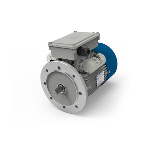 motor freno trifásico 1
