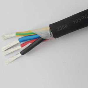 cable eléctrico de alimentación 1