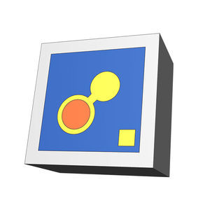 microchip digital