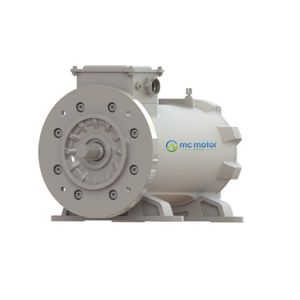motor síncrono