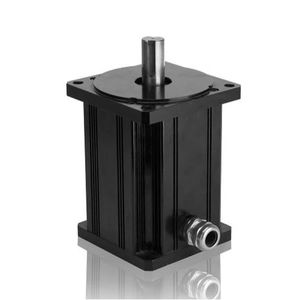 motor BLDC 1