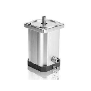 motor DC / BLDC / 24 V / de velocidad variable