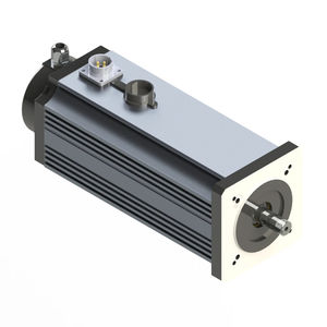 motor brushless 1