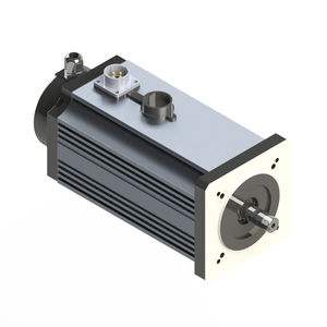 motor BLDC 1