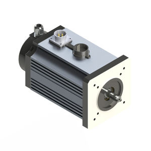 motor BLDC 1