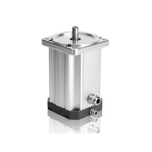 motor BLDC 1