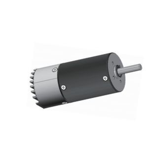 servomotor brushless
