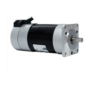 servomotor brushless