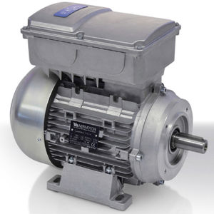 motor con variación de velocidad integrada / monofásico / asíncrono / 220V