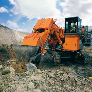 excavadora de grandes dimensiones 1