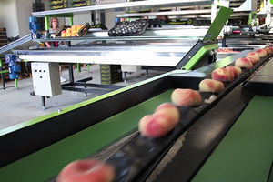 máquina clasificadora para la industria agroalimentaria