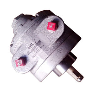 motor neumático con paleta 1