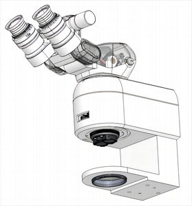 microscopio óptico