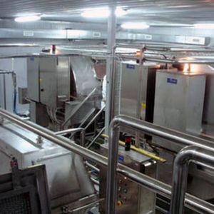 línea de producción de queso de queso blanco