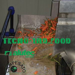 lavadora de verduras