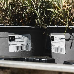 etiqueta de códigos de barras