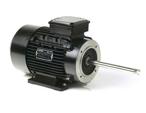 motor síncrono