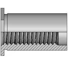 columnilla de engaste 1