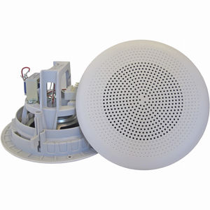 altavoz de techo