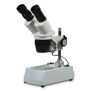 estereomicroscopio óptico