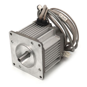motor brushless 1