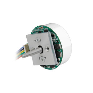 motor BLDC 1