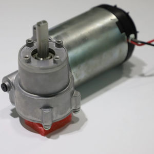 motorreductor DC 1