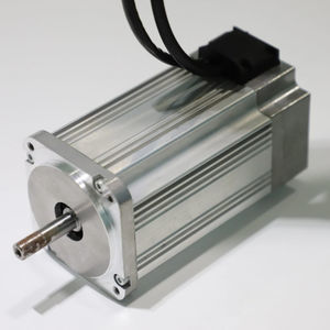 motor brushless 1