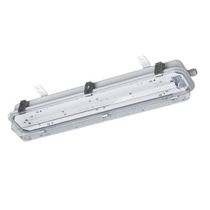 luminaria