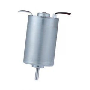 motor BLDC