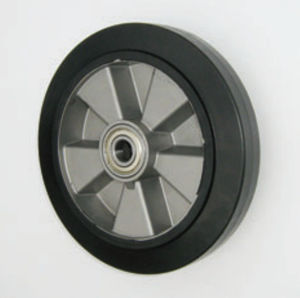 rueda con aro 1