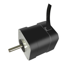 motor brushless
