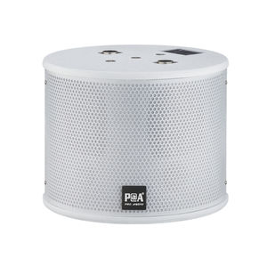 altavoz de pared