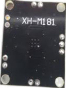 módulo electrónico