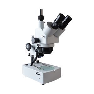 estereomicroscopio óptico