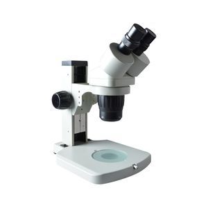 estereomicroscopio óptico
