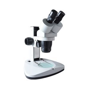 estereomicroscopio óptico