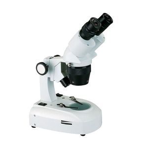 estereomicroscopio digital