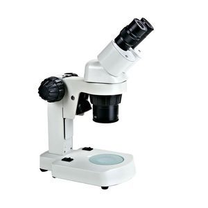 estereomicroscopio digital