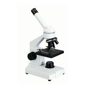 microscopio óptico