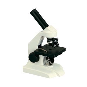 microscopio óptico