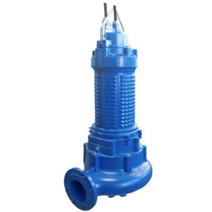 bomba de rotor 1